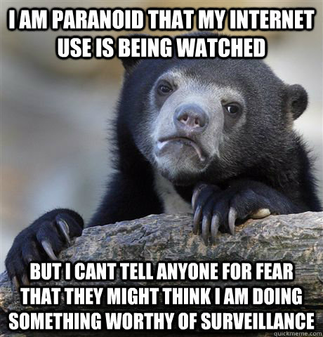 I am paranoid that my internet use is being watched But I cant tell anyone for fear that they might think I am doing something worthy of surveillance   Confession Bear