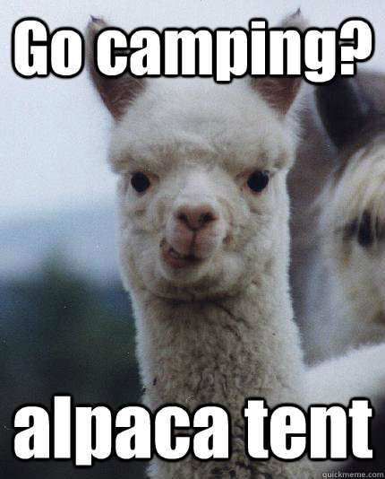 Go camping? alpaca tent - Go camping? alpaca tent  ALPACA