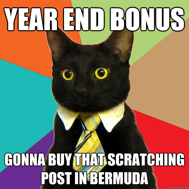 Year End Bonus gonna buy that scratching post in Bermuda  Business Cat