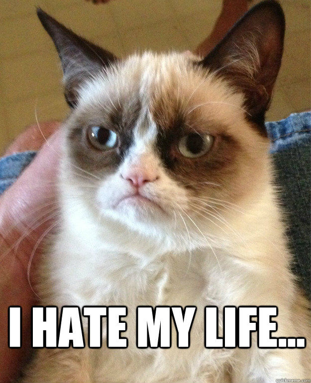 i hate my life...    Grumpy Cat