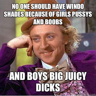 No one should have windo shades because of girls pussys and boobs And boys big juicy dicks   Condescending Wonka