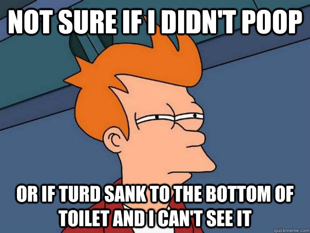 Not sure if I didn't poop Or if turd sank to the bottom of toilet and i can't see it  Futurama Fry