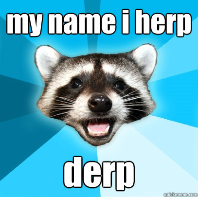 my name i herp derp  Lame Pun Coon