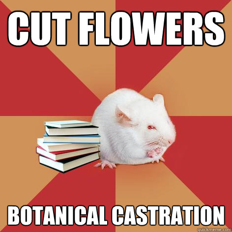 cut flowers botanical castration - cut flowers botanical castration  Science Major Mouse