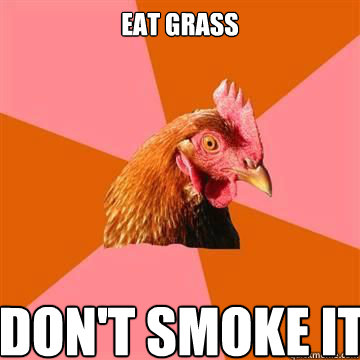 eat grass  don't smoke it   Anti-Joke Chicken