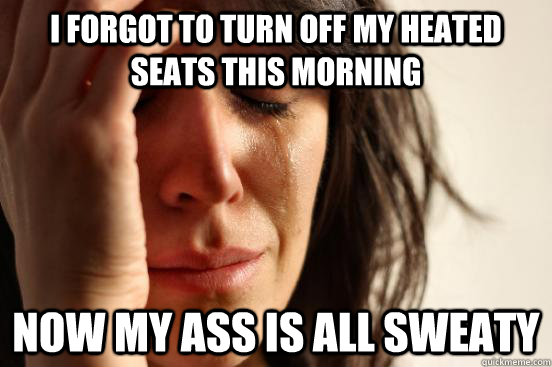 I forgot to turn off my heated seats this morning Now my ass is all sweaty  First World Problems