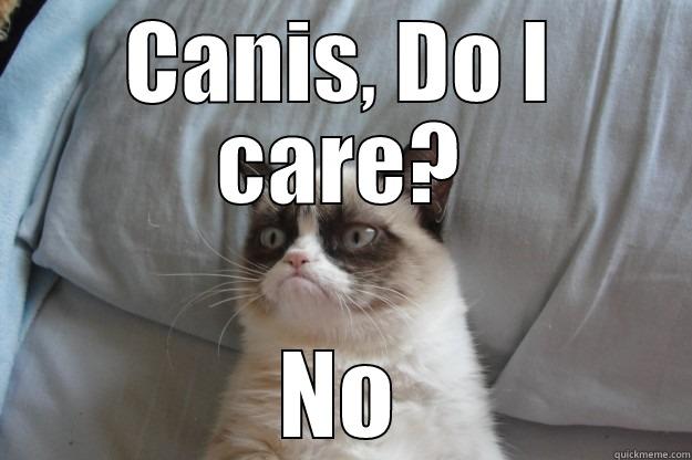 CANIS, DO I CARE? NO Grumpy Cat