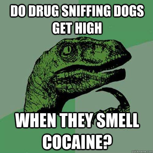 do drug sniffing dogs get high when they smell cocaine?  Philosoraptor