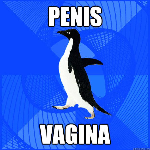 penis vagina - penis vagina  New Socially Awkward Penguin