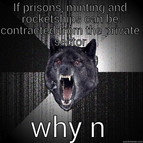 because its working so well now, right? - IF PRISONS, MINTING AND ROCKETSHIPS CAN BE CONTRACTED FROM THE PRIVATE SECTOR WHY NOT LET A PRIVATE SECURITY COMPANY TAKE A CRACK? Insanity Wolf