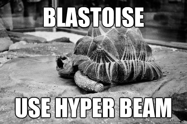 BLASTOISE  USE HYPER BEAM  Hyper beam blastoise