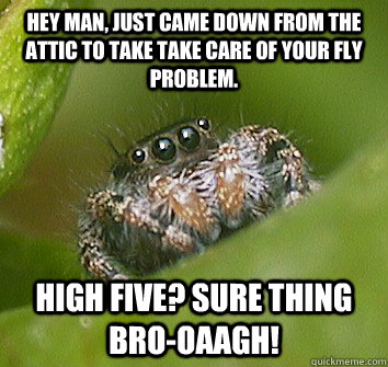 Hey man, just came down from the attic to take take care of your fly problem. High five? Sure thing bro-oaagh! - Hey man, just came down from the attic to take take care of your fly problem. High five? Sure thing bro-oaagh!  Misunderstood Spider