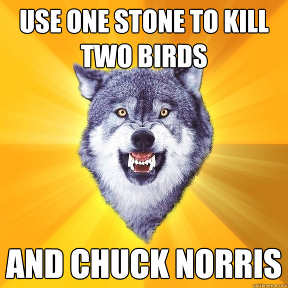 Use one stone to kill two birds and Chuck Norris  Courage Wolf