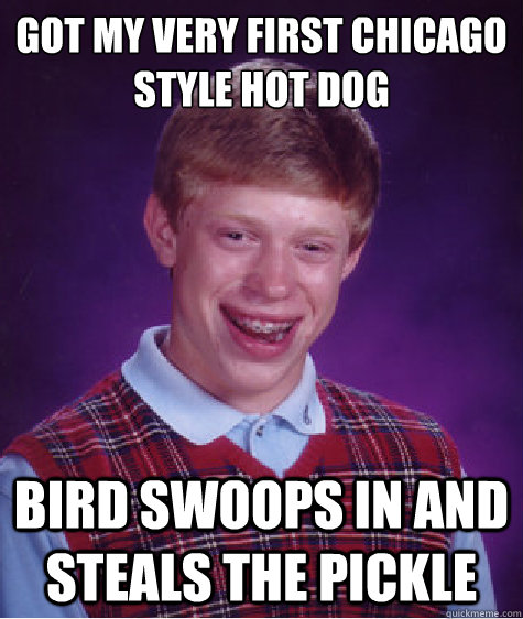 Got my very first Chicago Style hot dog Bird swoops in and steals the pickle - Got my very first Chicago Style hot dog Bird swoops in and steals the pickle  Bad Luck Brian