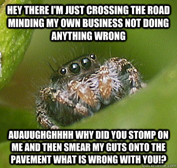 Hey there I'm just crossing the road minding my own business not doing anything wrong AUAUUGHGHHHH WHY DID YOU STOMP ON ME AND THEN SMEAR MY GUTS ONTO THE PAVEMENT WHAT IS WRONG WITH YOU!?  Misunderstood Spider