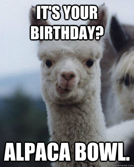 It's your Birthday? Alpaca bowl.  