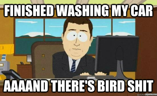 finished washing my car AAAAND there's bird shit  aaaand its gone