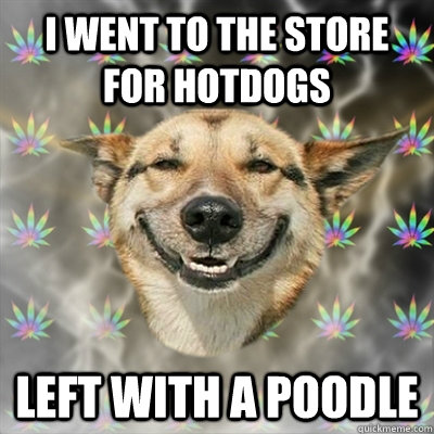 I went to the store for hotdogs left with a poodle  Stoner Dog