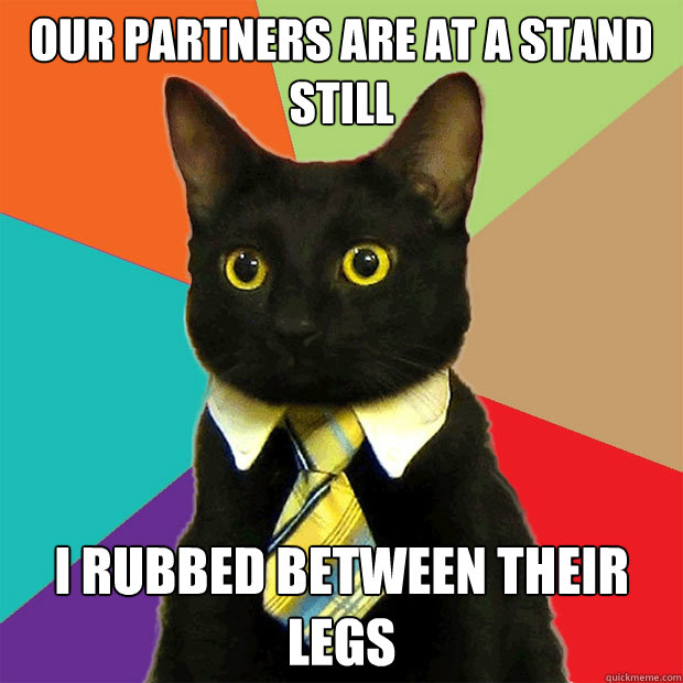 Our partners are at a stand still I rubbed between their legs  Business Cat