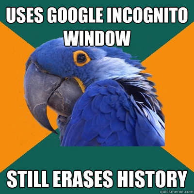 uses google incognito window still erases history  Paranoid Parrot