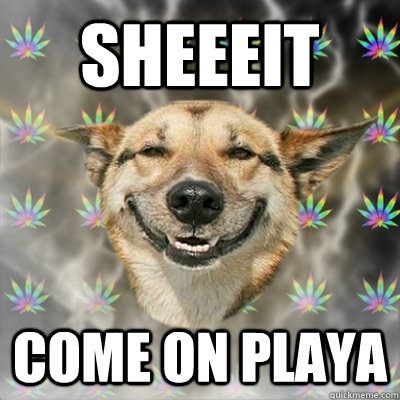 sheeeit come on playa  Stoner Dog