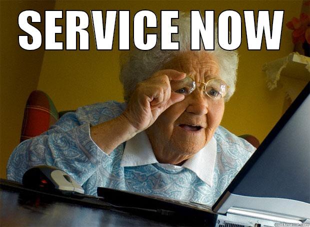 SERVICE NOW - SERVICE NOW  Grandma finds the Internet