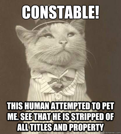 Constable! This human attempted to pet me. See that he is stripped of all titles and property  Aristocat