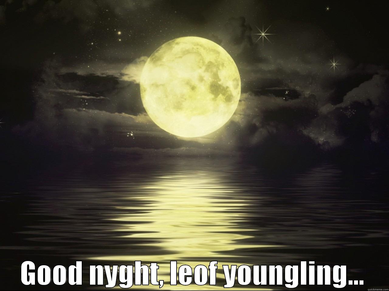  GOOD NYGHT, LEOF YOUNGLING... Misc