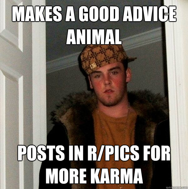 makes a good advice animal posts in r/pics for more karma  Scumbag Steve