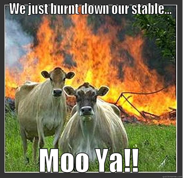 Sillys cows - WE JUST BURNT DOWN OUR STABLE... MOO YA!! Evil cows