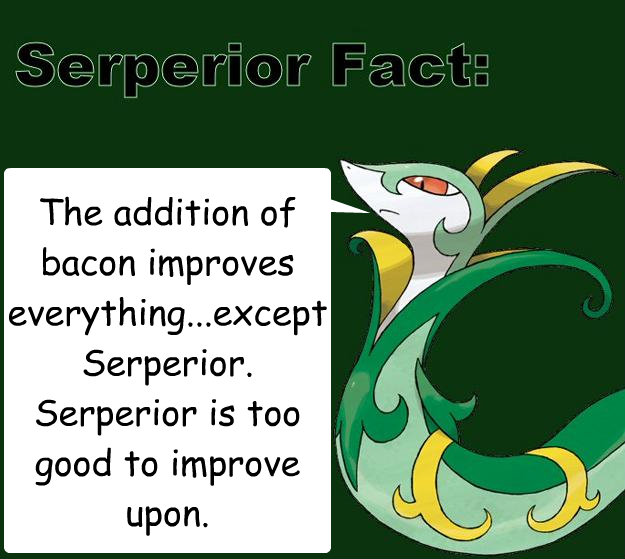 The addition of bacon improves everything...except Serperior.  Serperior is too good to improve upon. - The addition of bacon improves everything...except Serperior.  Serperior is too good to improve upon.  Serperior Facts