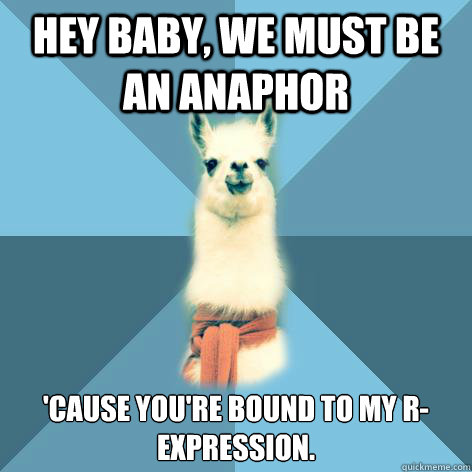 Hey Baby, we must be an anaphor 'cause you're bound to my R-expression.   Linguist Llama