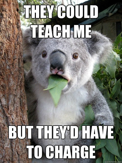 they could teach me but they'd have to charge - they could teach me but they'd have to charge  koala bear