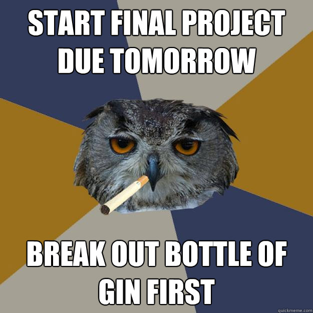 Start final project due tomorrow Break out bottle of gin first  Art Student Owl