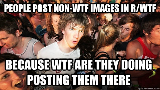 People post non-wtf images in r/wtf because wtf are they doing posting them there  Sudden Clarity Clarence