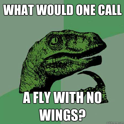 What would one call A Fly with no wings? - What would one call A Fly with no wings?  Philosoraptor