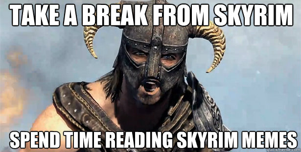 TAKE A BREAK FROM SKYRIM SPEND TIME READING SKYRIM MEMES  skyrim