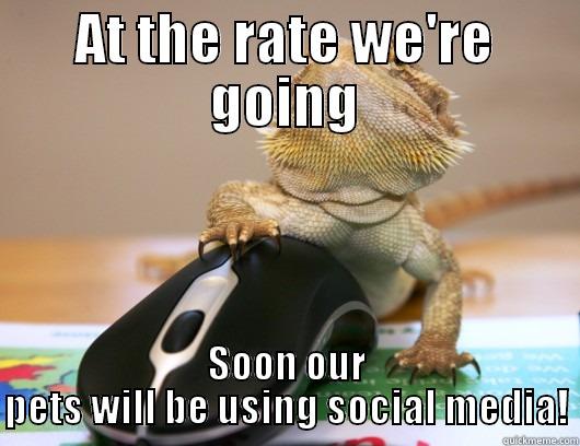 AT THE RATE WE'RE GOING SOON OUR PETS WILL BE USING SOCIAL MEDIA! Misc