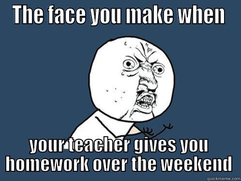 THE FACE YOU MAKE WHEN YOUR TEACHER GIVES YOU HOMEWORK OVER THE WEEKEND Y U No