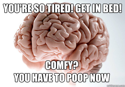 You're so tired! Get in Bed! Comfy? 
you have to poop now  Scumbag Brain