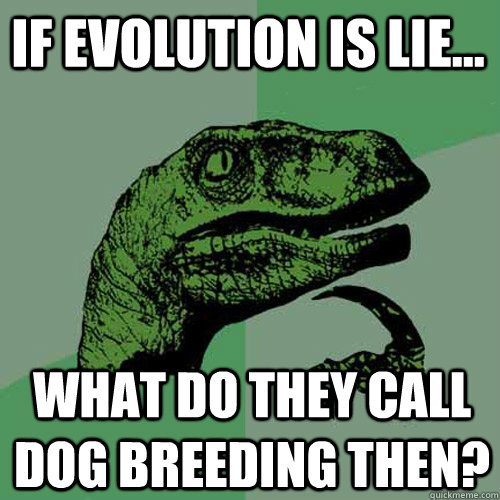 If evolution is lie... What do they call dog breeding then?  Philosoraptor