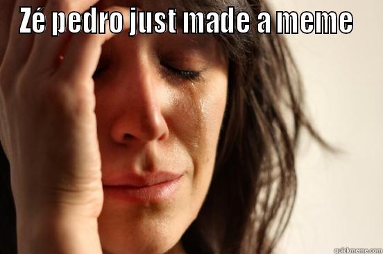 ZÉ PEDRO JUST MADE A MEME   First World Problems