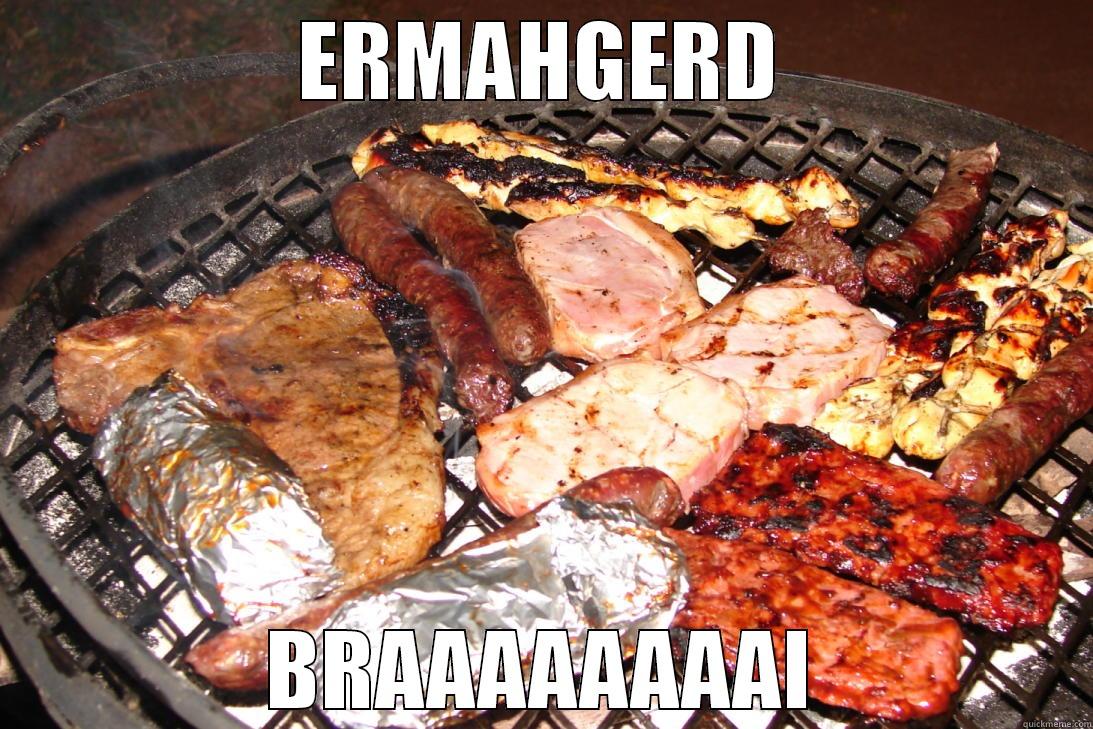 ERMAHGERD, BRAAI - ERMAHGERD BRAAAAAAAAI Misc