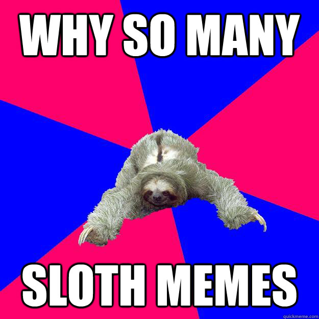 why so many sloth memes  Math Major Sloth