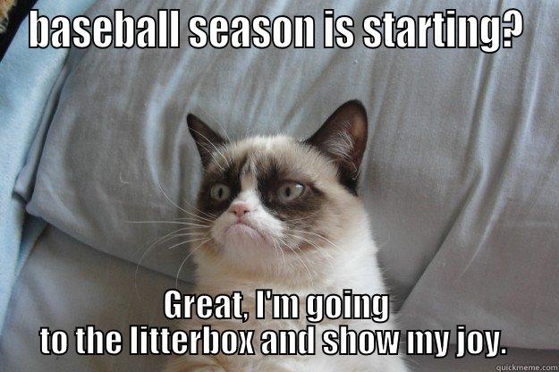 BASEBALL SEASON IS STARTING? GREAT, I'M GOING TO THE LITTERBOX AND SHOW MY JOY.  Grumpy Cat