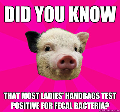 Did you know that most ladies' handbags test positive for fecal bacteria?  