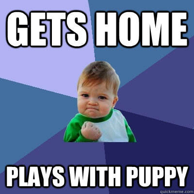 Gets home plays with puppy  Success Kid