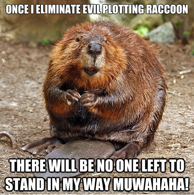 Once I eliminate evil plotting raccoon there will be no one left to stand in my way muwahaha! - Once I eliminate evil plotting raccoon there will be no one left to stand in my way muwahaha!  Evil plotting Beaver