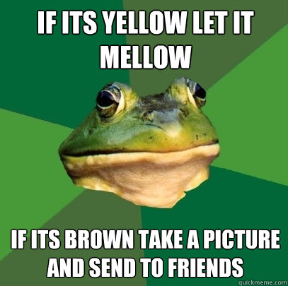 If its yellow let it mellow If its brown take a picture and send to friends - If its yellow let it mellow If its brown take a picture and send to friends  Foul Bachelor Frog