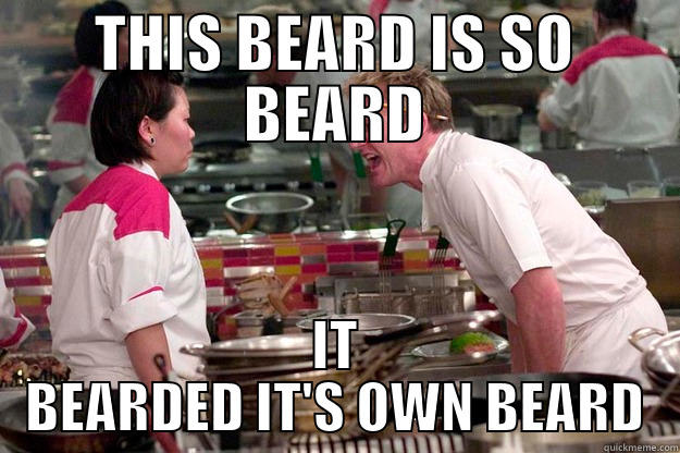 THIS BEARD IS SO BEARD IT BEARDED IT'S OWN BEARD Gordon Ramsay